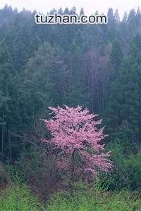 西班牙队在欧预赛中不败战绩，领跑积分榜