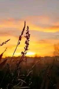 篮球巨星受伤后首次复出，球迷热情欢迎