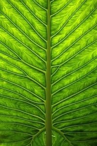 广东队外援连线，全队默契合作取得关键胜利