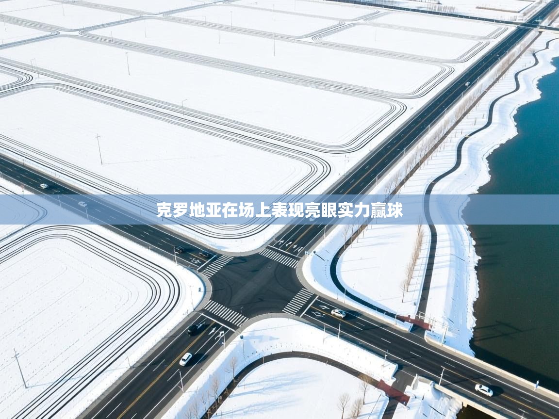 克罗地亚在场上表现亮眼实力赢球