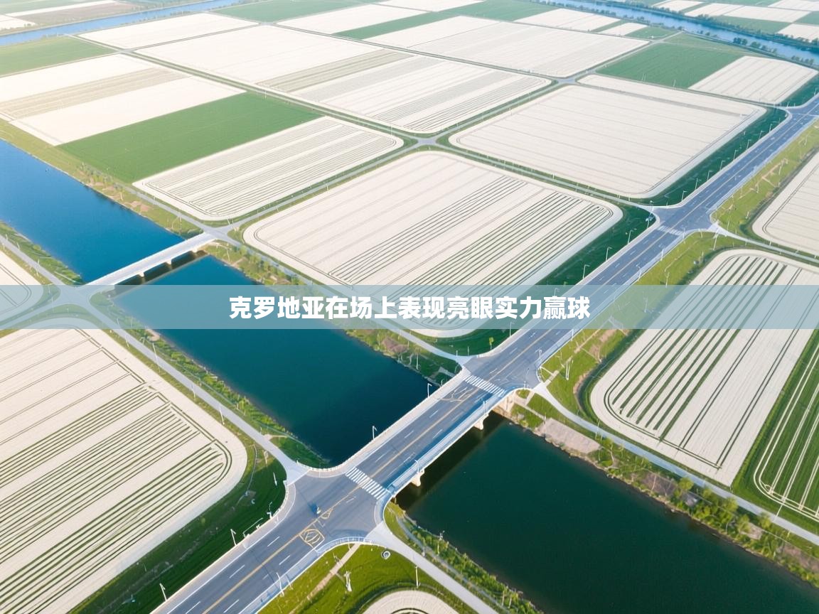 克罗地亚在场上表现亮眼实力赢球 第2张